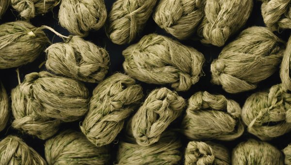 Guide d'achat : choisir du chanvre de qualité en promo !